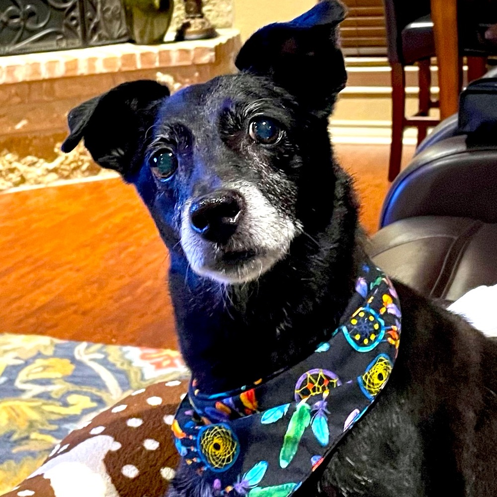 Meet your Posher, Victoria